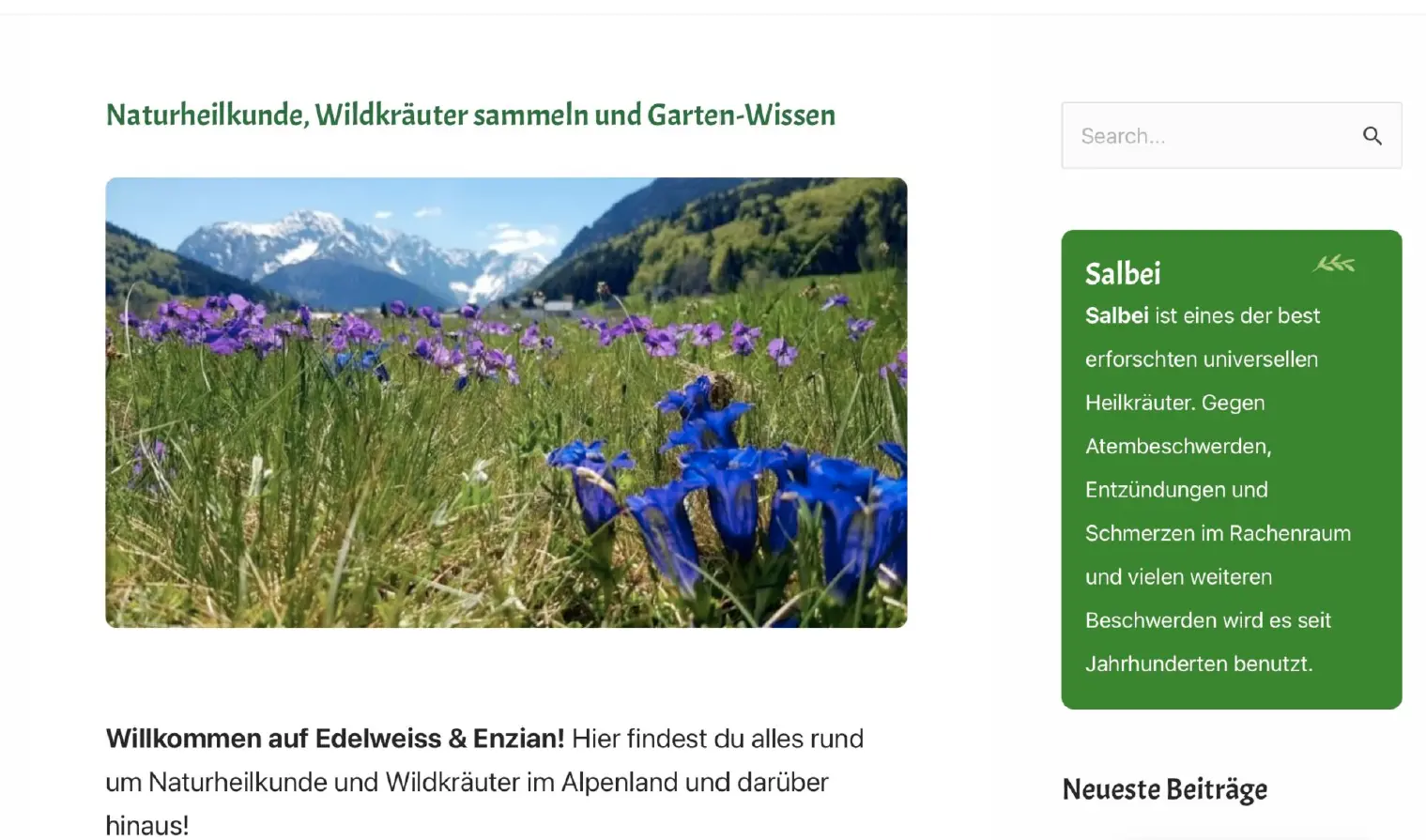 Edelweiß Webseite